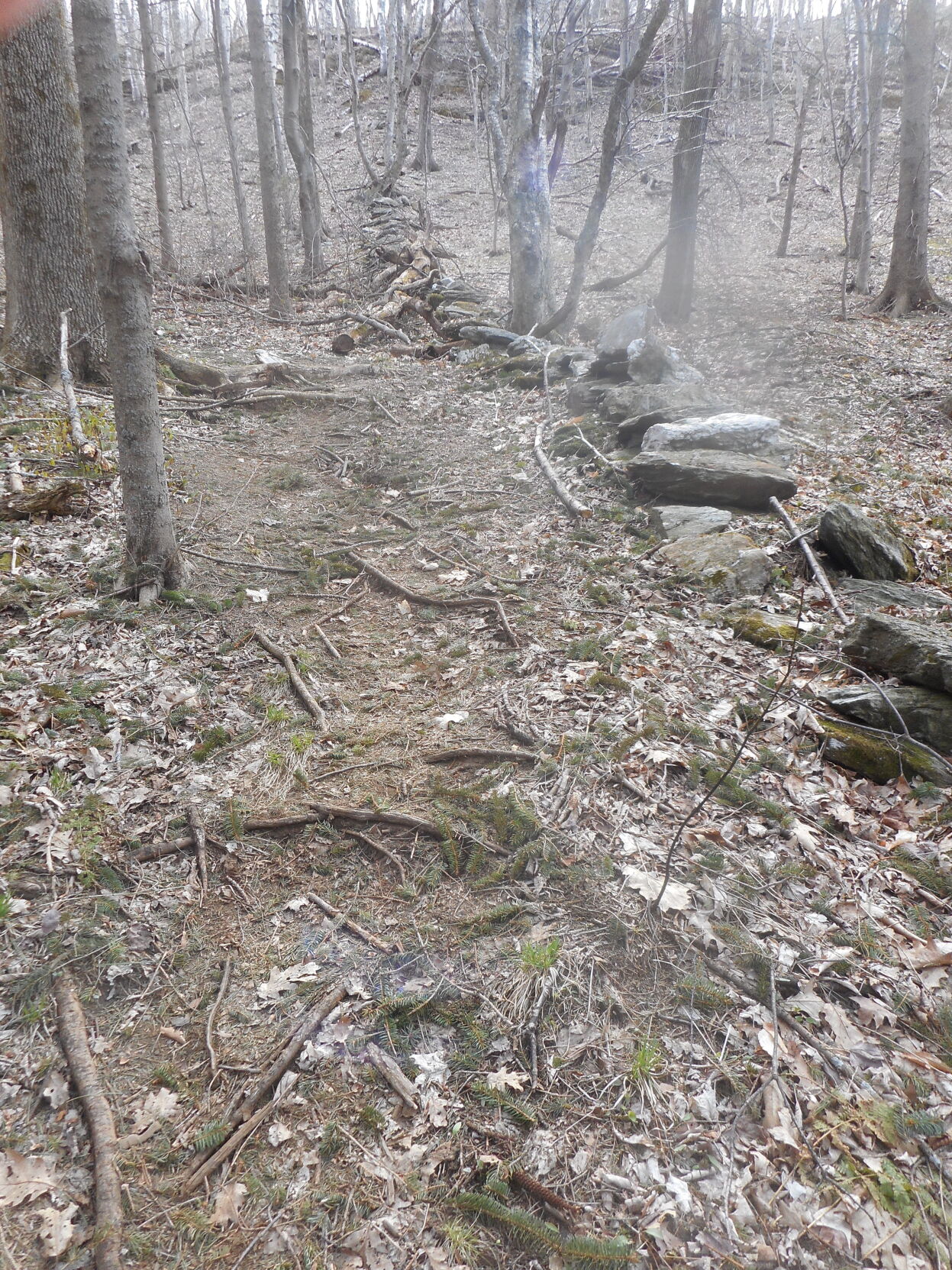 rock wall on ragged mountain